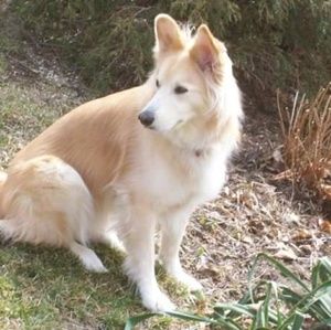 Meet your Posher, Britt